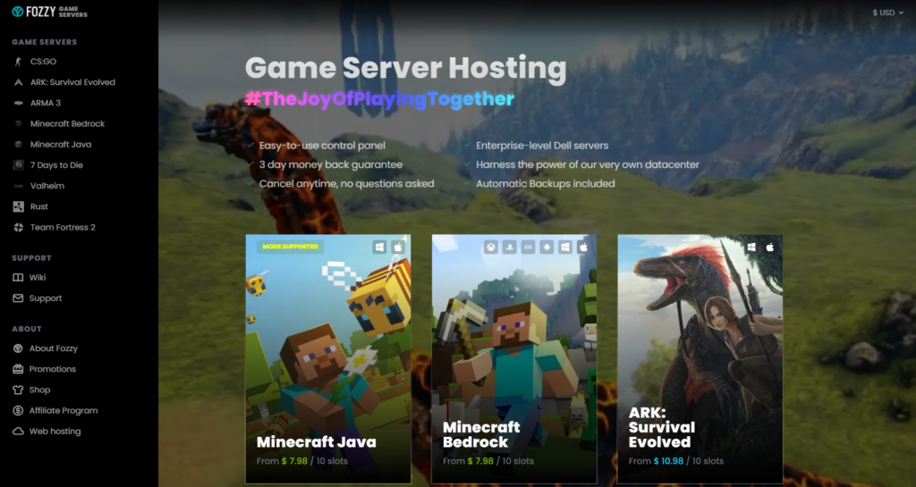 Hosting game servers Fozzy.