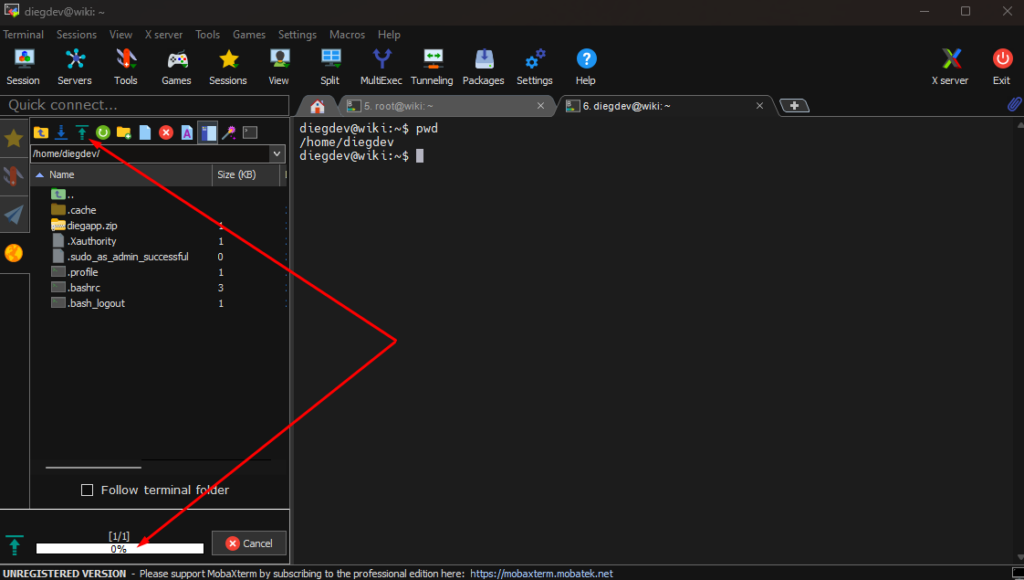 How to upload python website to the server.