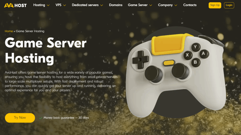 AvaHost game server.