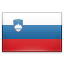 Flag of Slovenia.
