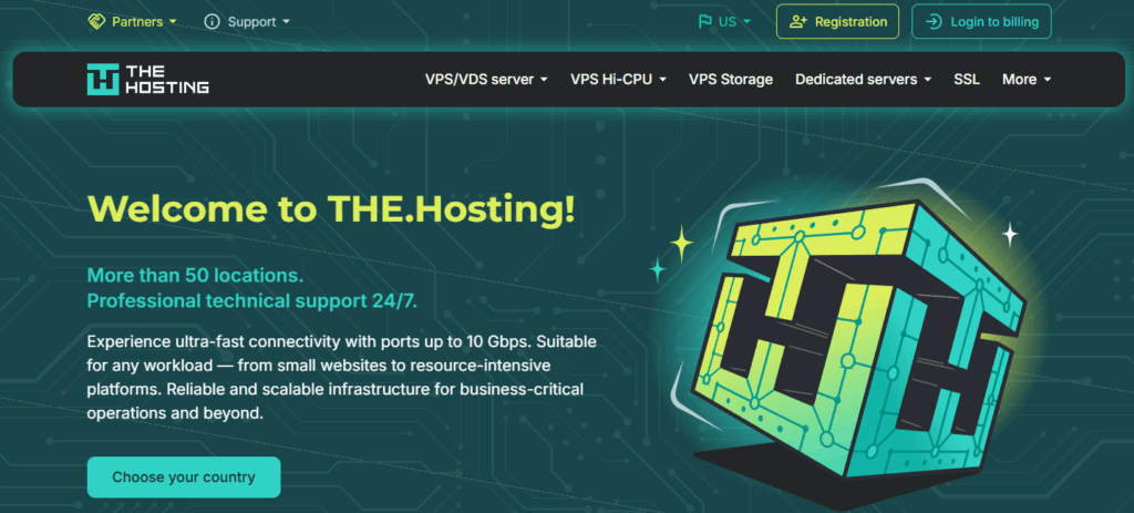 Home page of THE.Hosting.