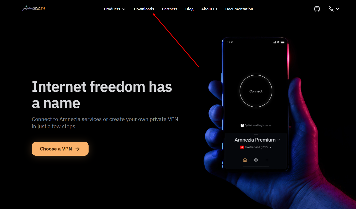 AmneziaVPN downloads.
