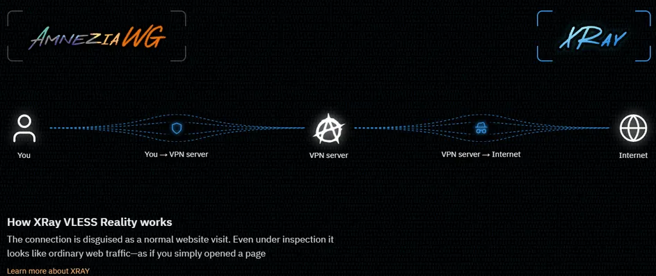 AmneziaWG XRay VLESS.